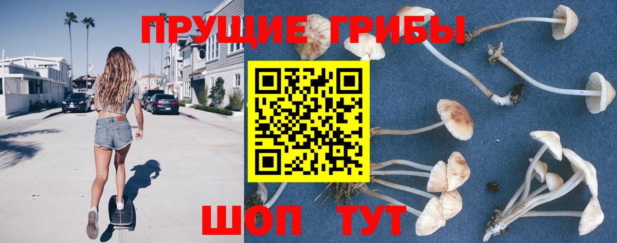 Моздок  как найти закладки  Вход с VPN  Галлюциногенные грибы Magic Shrooms 