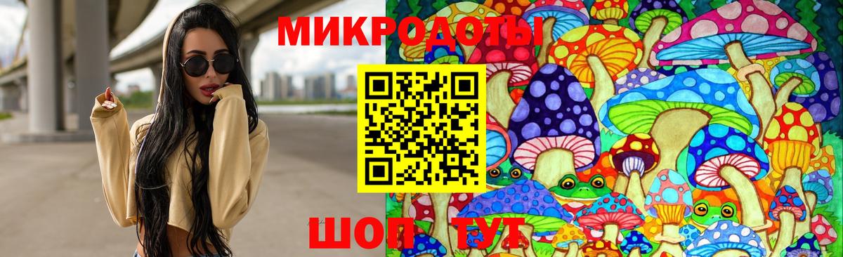 Псилоцибиновые грибы GOLDEN TEACHER Моздок